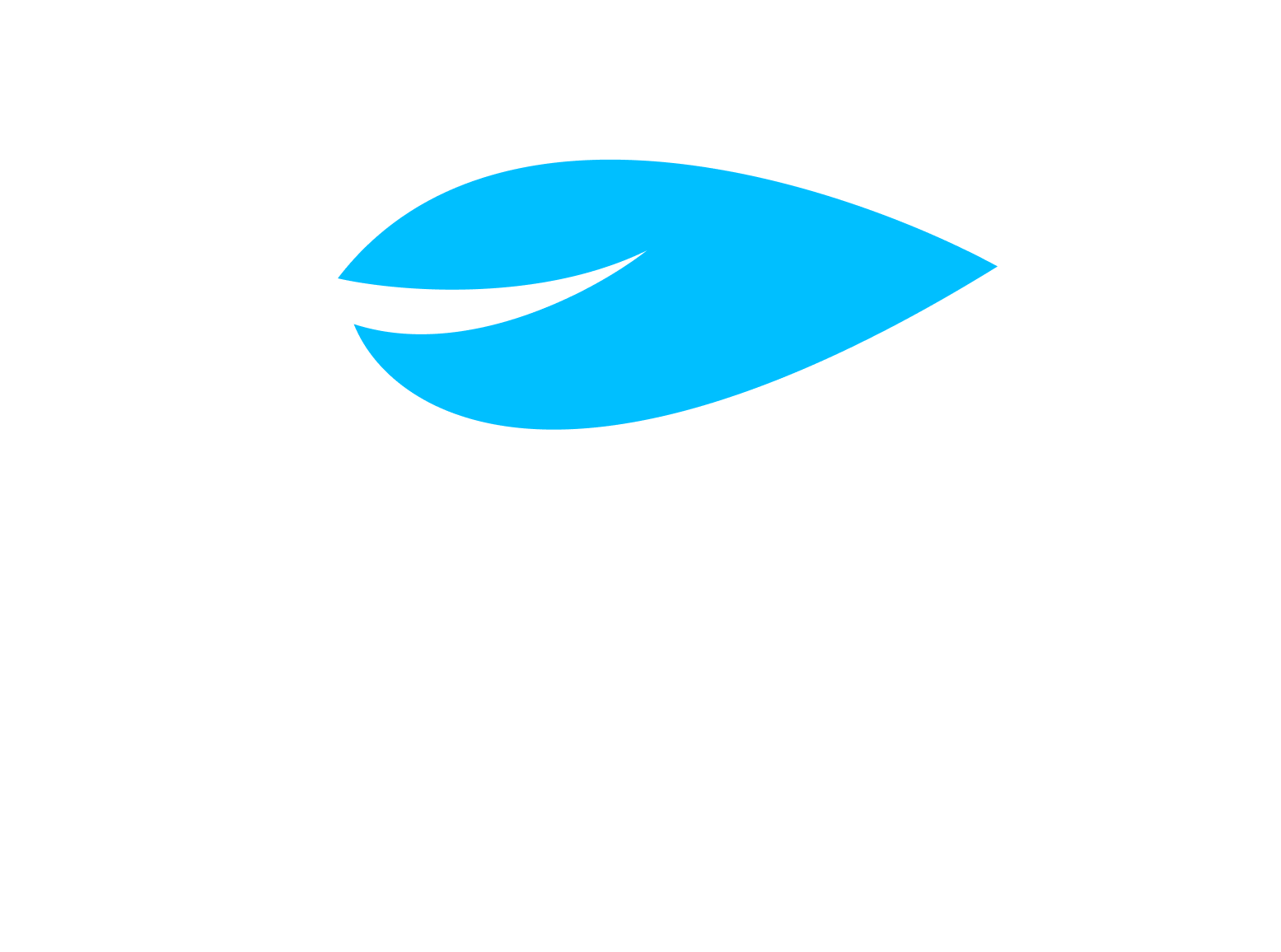 New Excofi RDC Logo